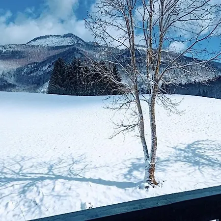 Hotel apartamentowy Zaunerhof - En