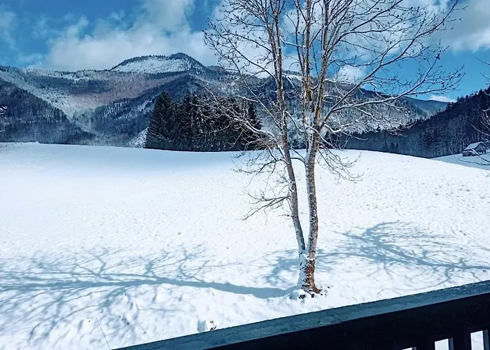 Ξενοδοχείο με διαμερίσματα Zaunerhof - En